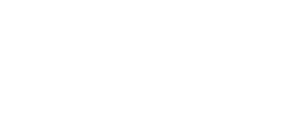 میگا پے logo