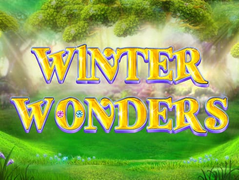Winter Wonders icon